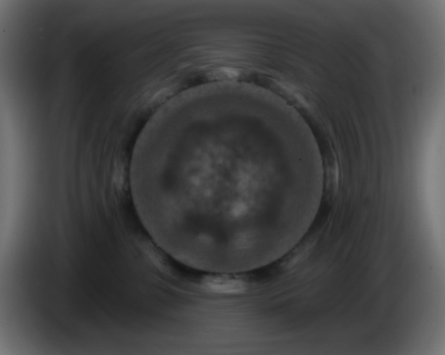 X0000086050331200704132002