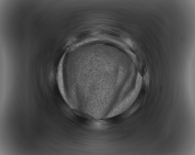 X0000086050333200704132002