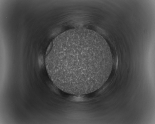 X0000086050335200704132001