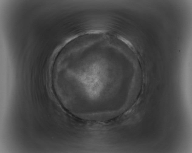 X0000086050337200704132001