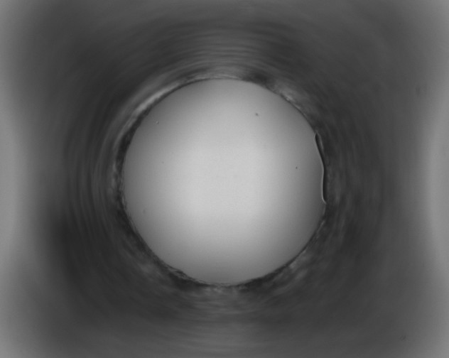 X0000086050338200704132001