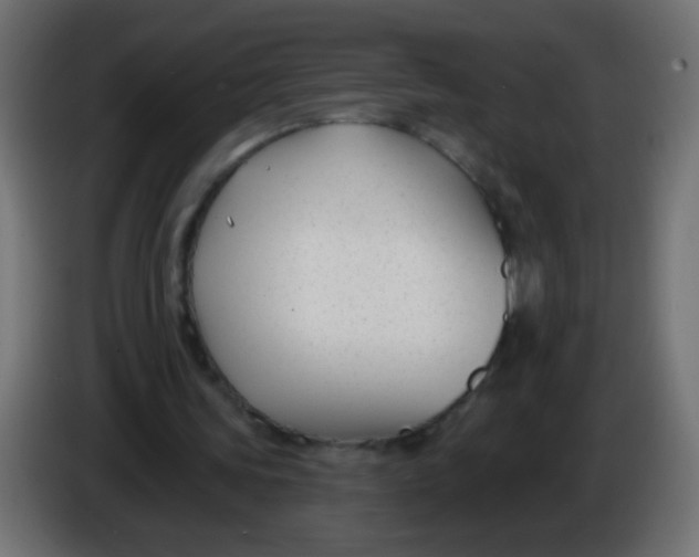 X0000086050339200704132001
