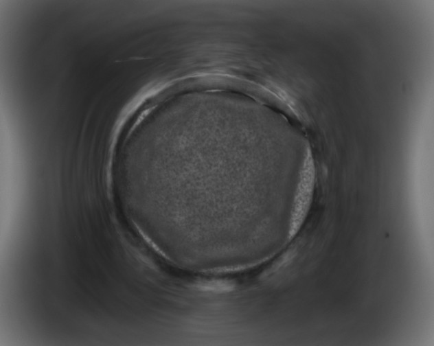 X0000086050340200704132001