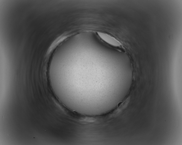 X0000086050341200704132001