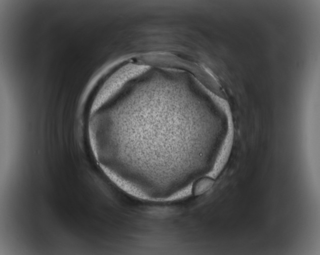 X0000086050342200704132001