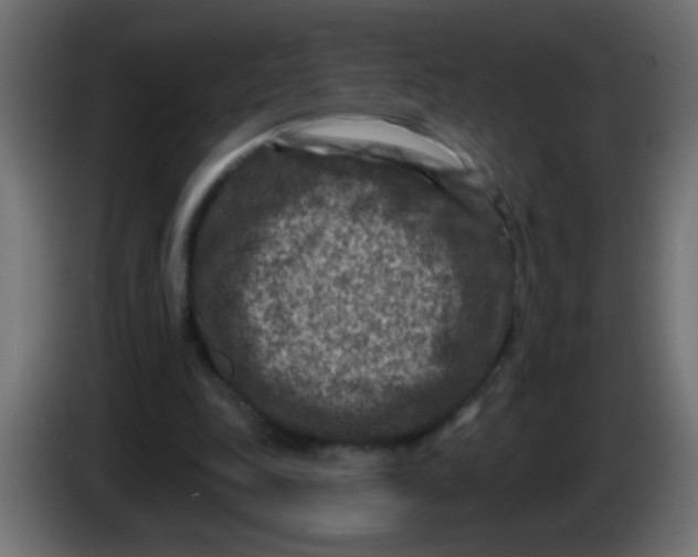 X0000086050343200704132001