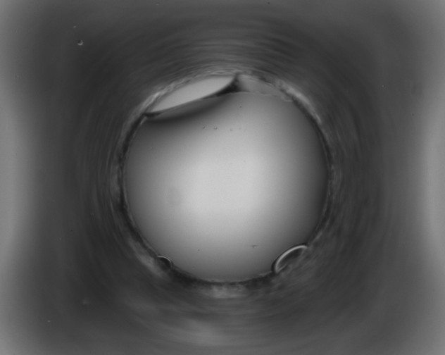 X0000086050345200704132001
