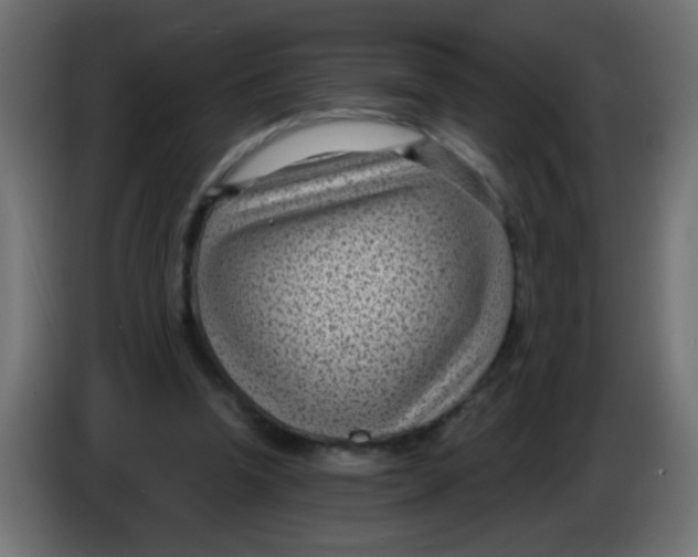 X0000086050346200704132001