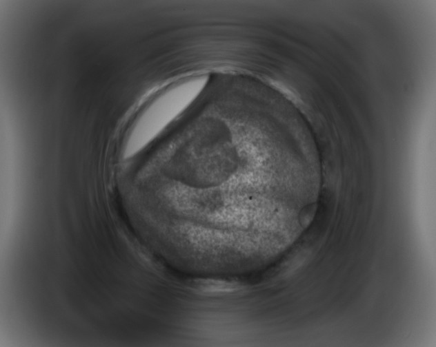 X0000086050347200704132001