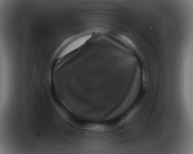 X0000086050348200704132001