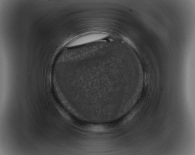X0000086050349200704132001