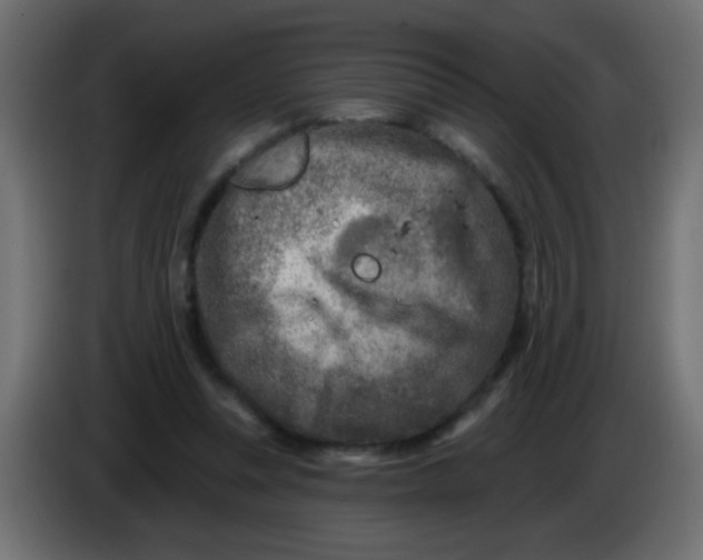 X0000086050351200704132001