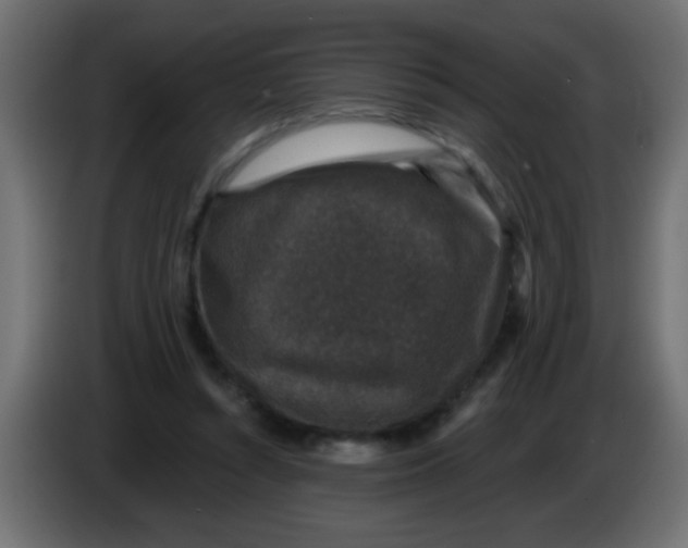X0000086050352200704132001