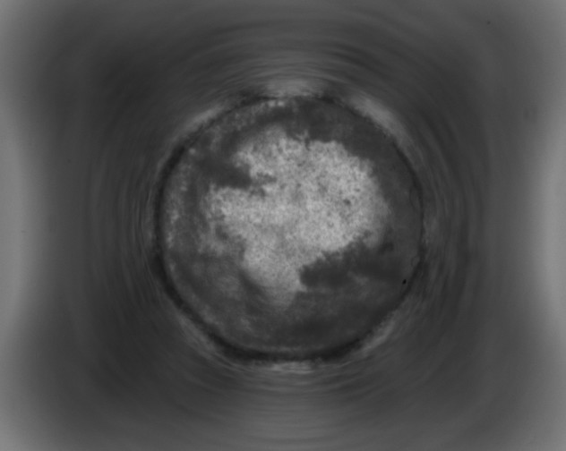 X0000086050353200704132001
