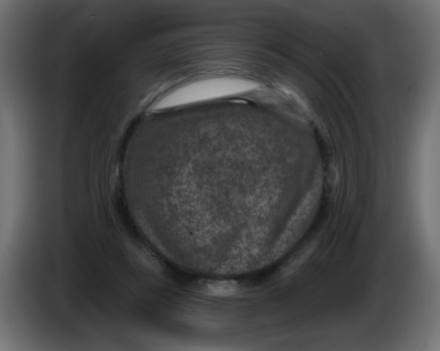 X0000086050355200704132001