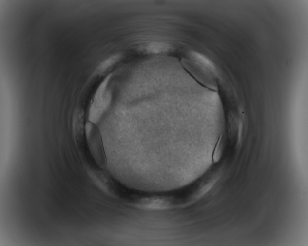 X0000086050356200704132001