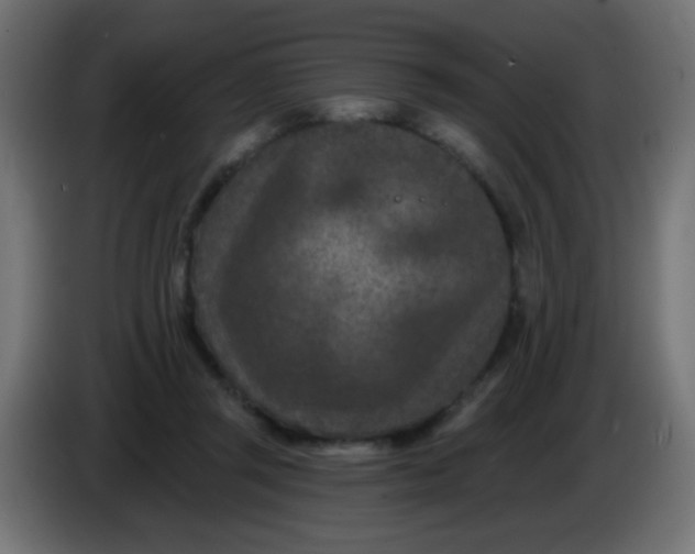 X0000086050357200704132001