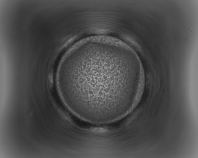 X0000086050358200704132001