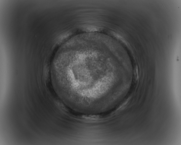 X0000086050359200704132001