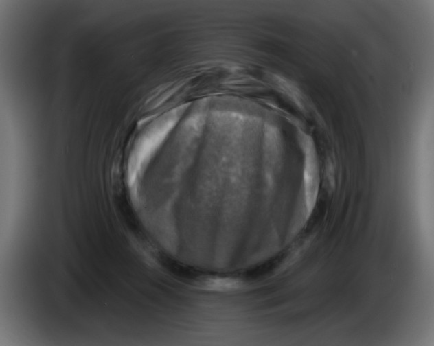 X0000086050360200704132001