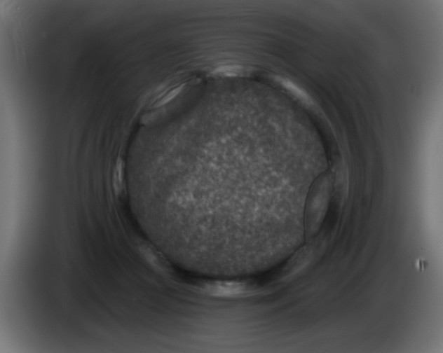 X0000086050361200704132001