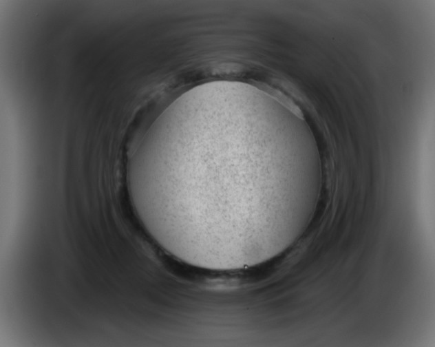 X0000086050362200704132001
