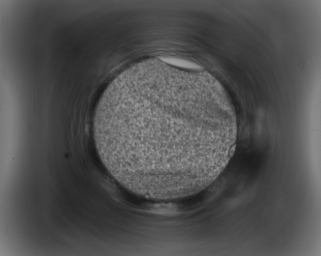 X0000086050363200704132001