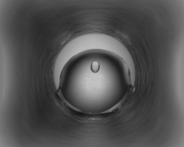X0000086050364200704132001