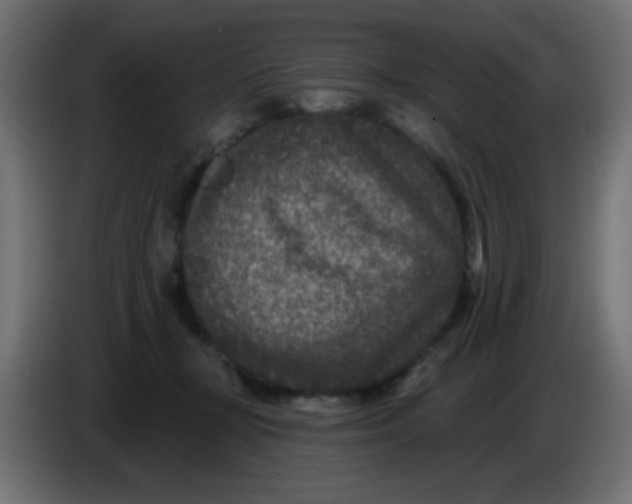 X0000086050367200704132001