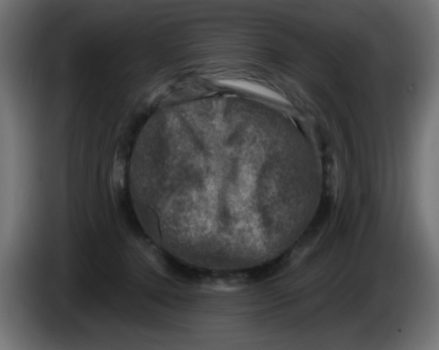 X0000086050368200704132001