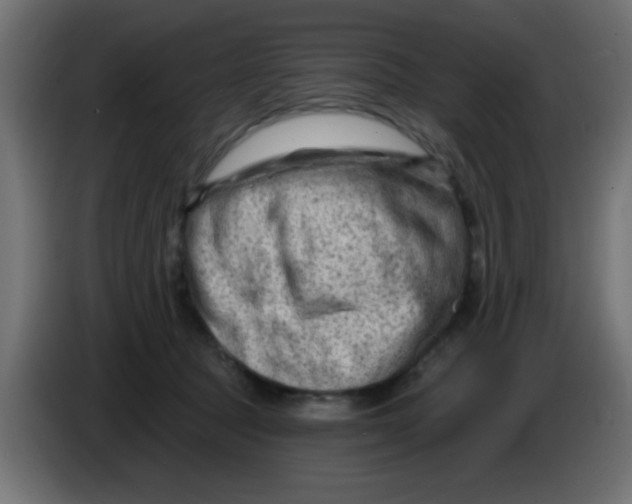 X0000086050369200704132001