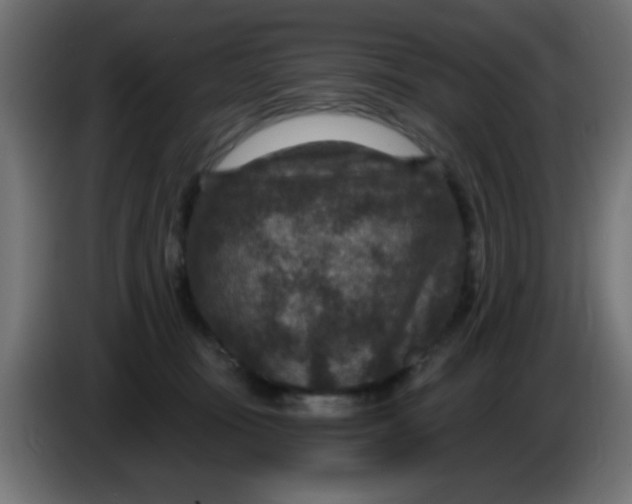 X0000086050371200704132001