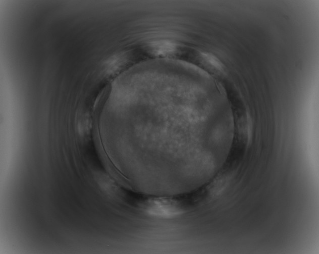 X0000086050372200704132001