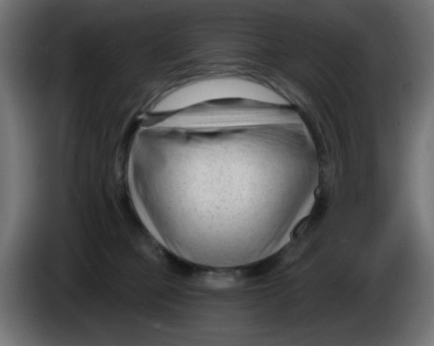 X0000086050373200704132001