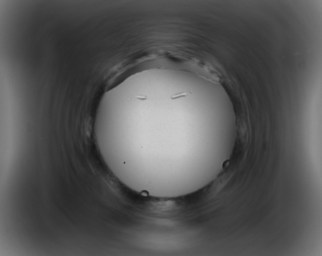 X0000086050374200704132001