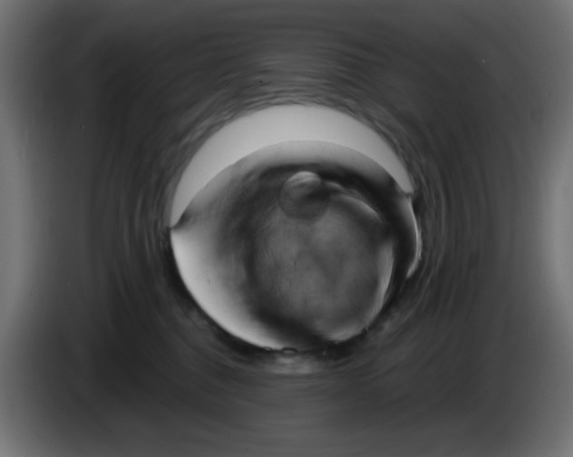 X0000086050376200704132001