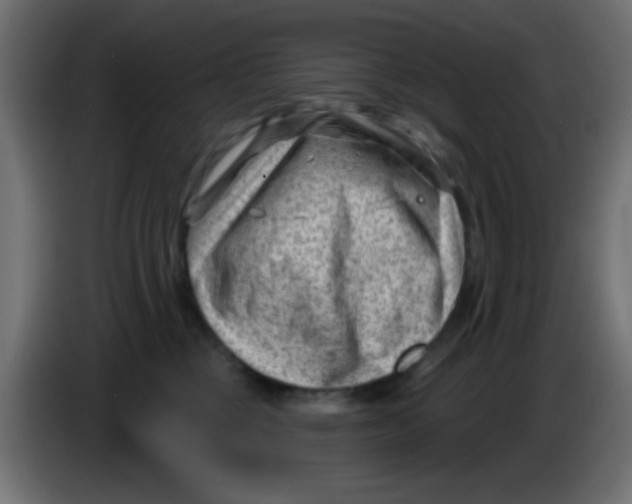 X0000086050377200704132001