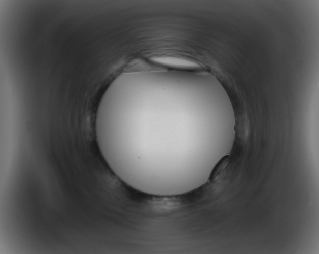 X0000086050378200704132001