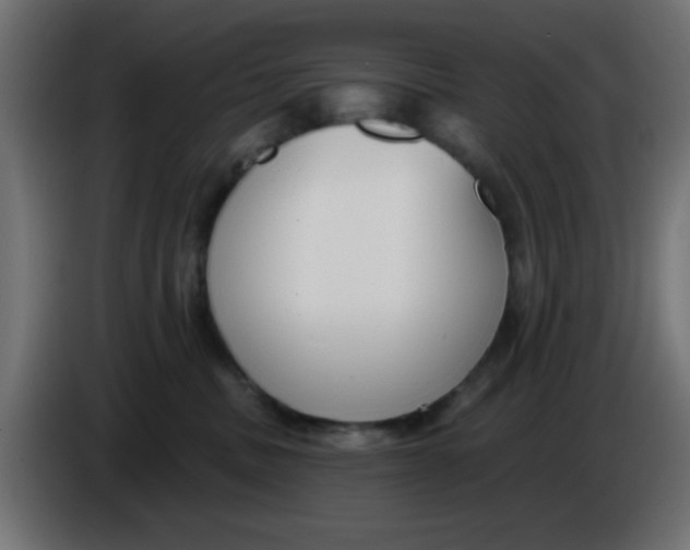 X0000086050379200704132001