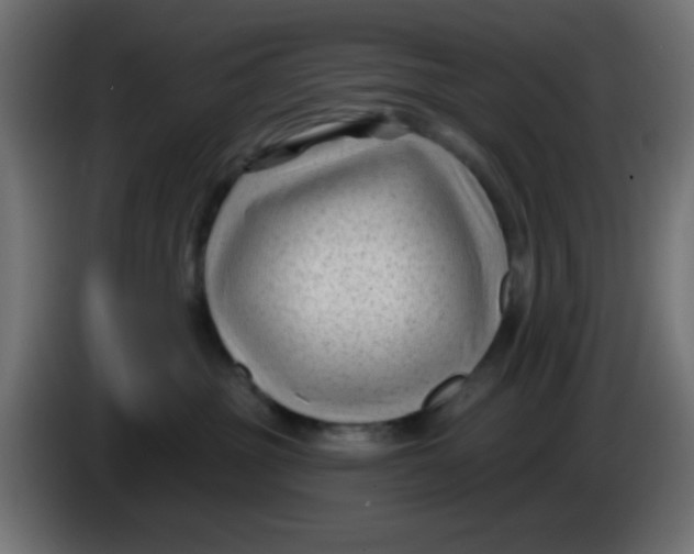 X0000086050381200704132001