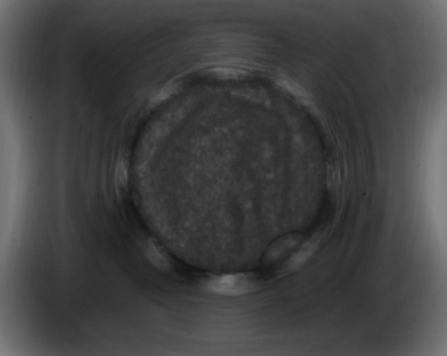 X0000086050382200704132001