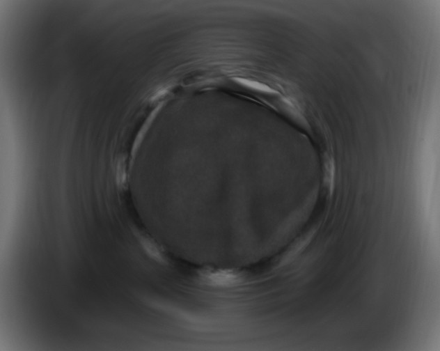 X0000086050383200704132001