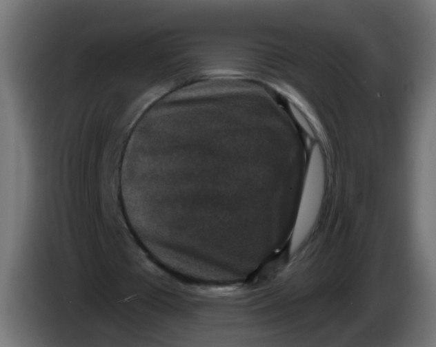 X0000086050385200704132001