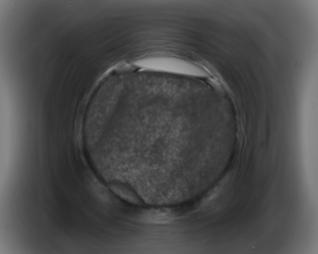 X0000086050386200704132001