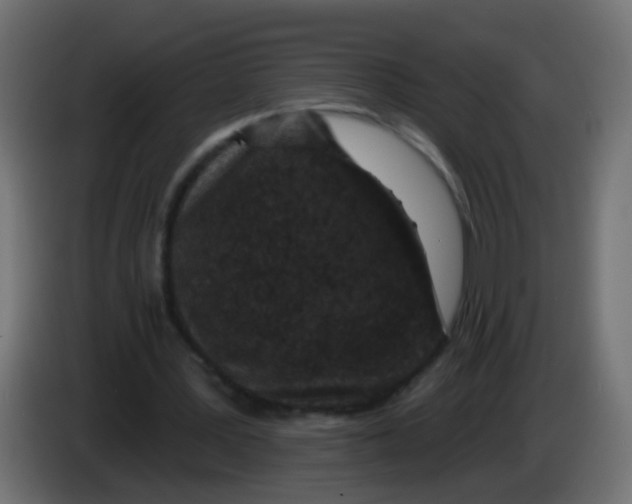 X0000086050387200704132001