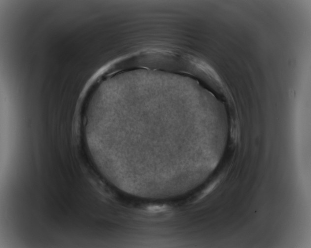 X0000086050388200704132001