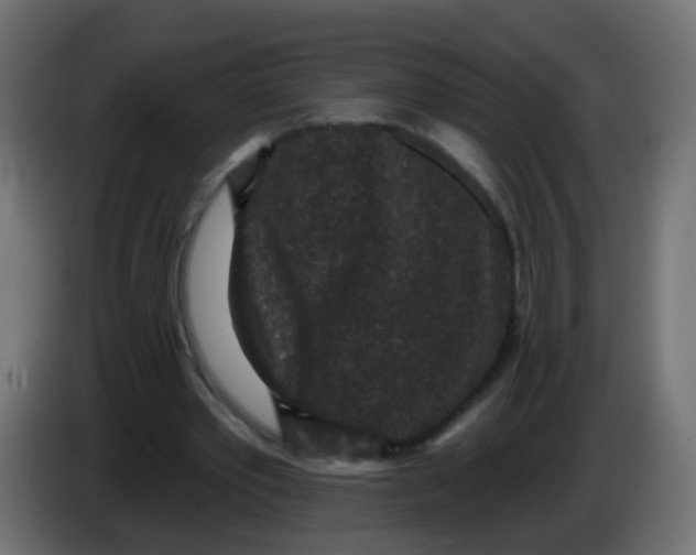 X0000086050389200704132001