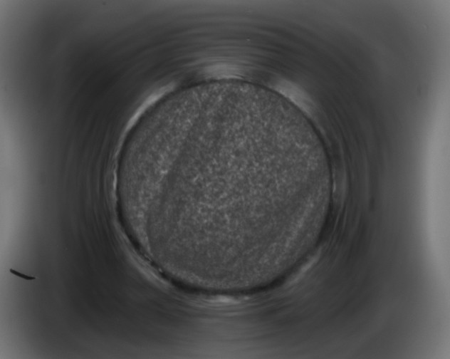 X0000086050390200704132001