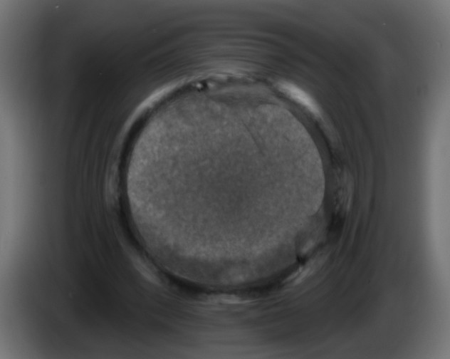 X0000086050392200704132001