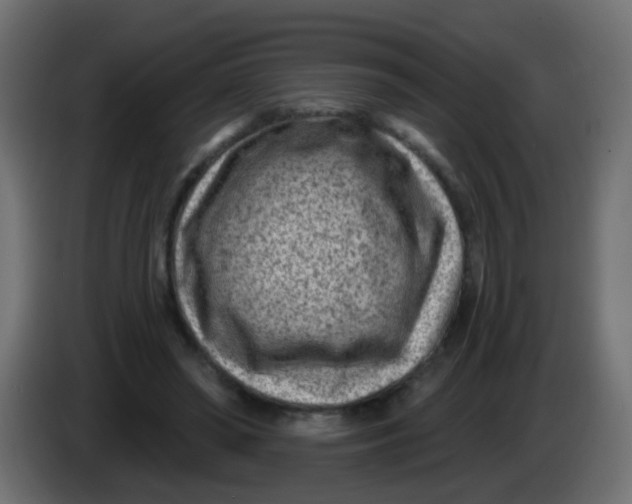 X0000086050398200704132001